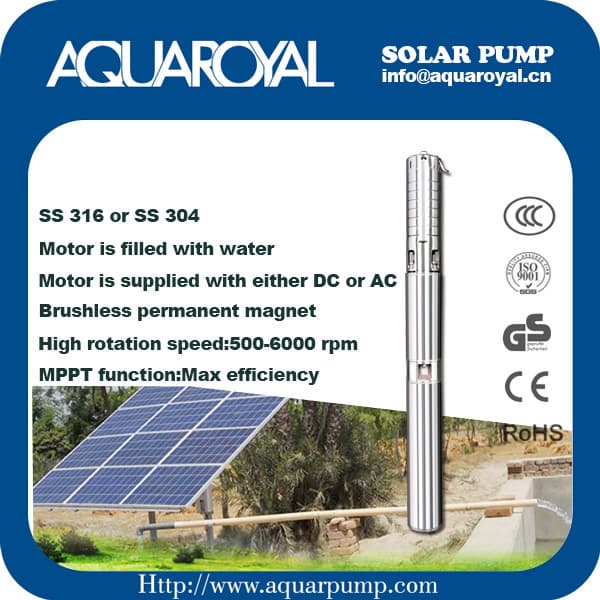 DC Solar Pump_Permanent Magnet_DC brushless__Solar well pump